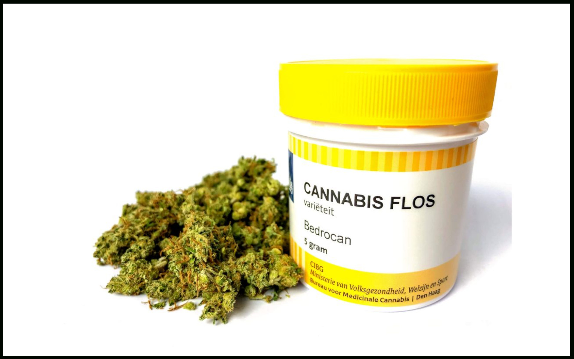 Bedrocan medyczna marihuana