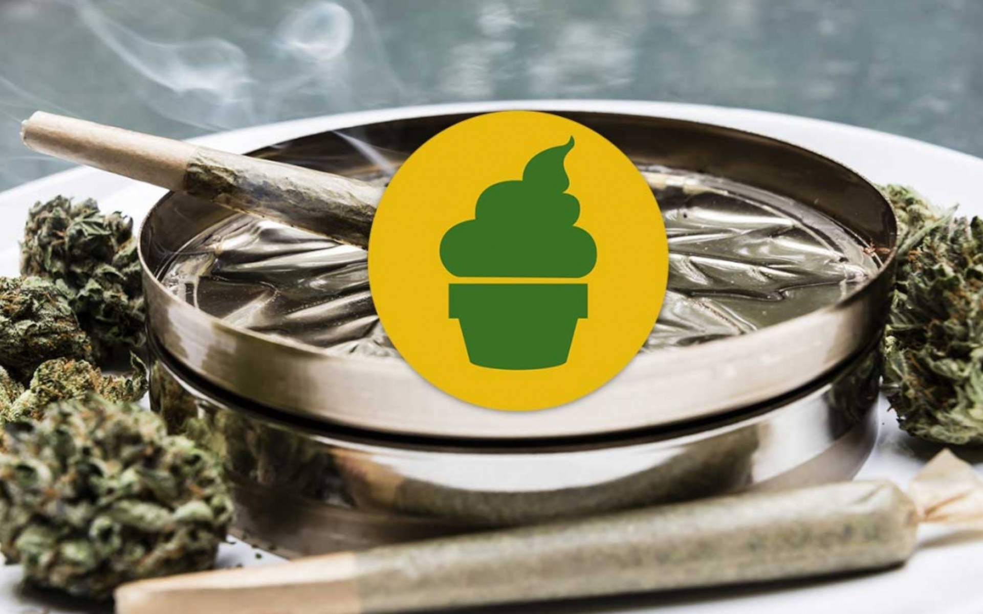 Royal Creamatic Royal Queen Seeds