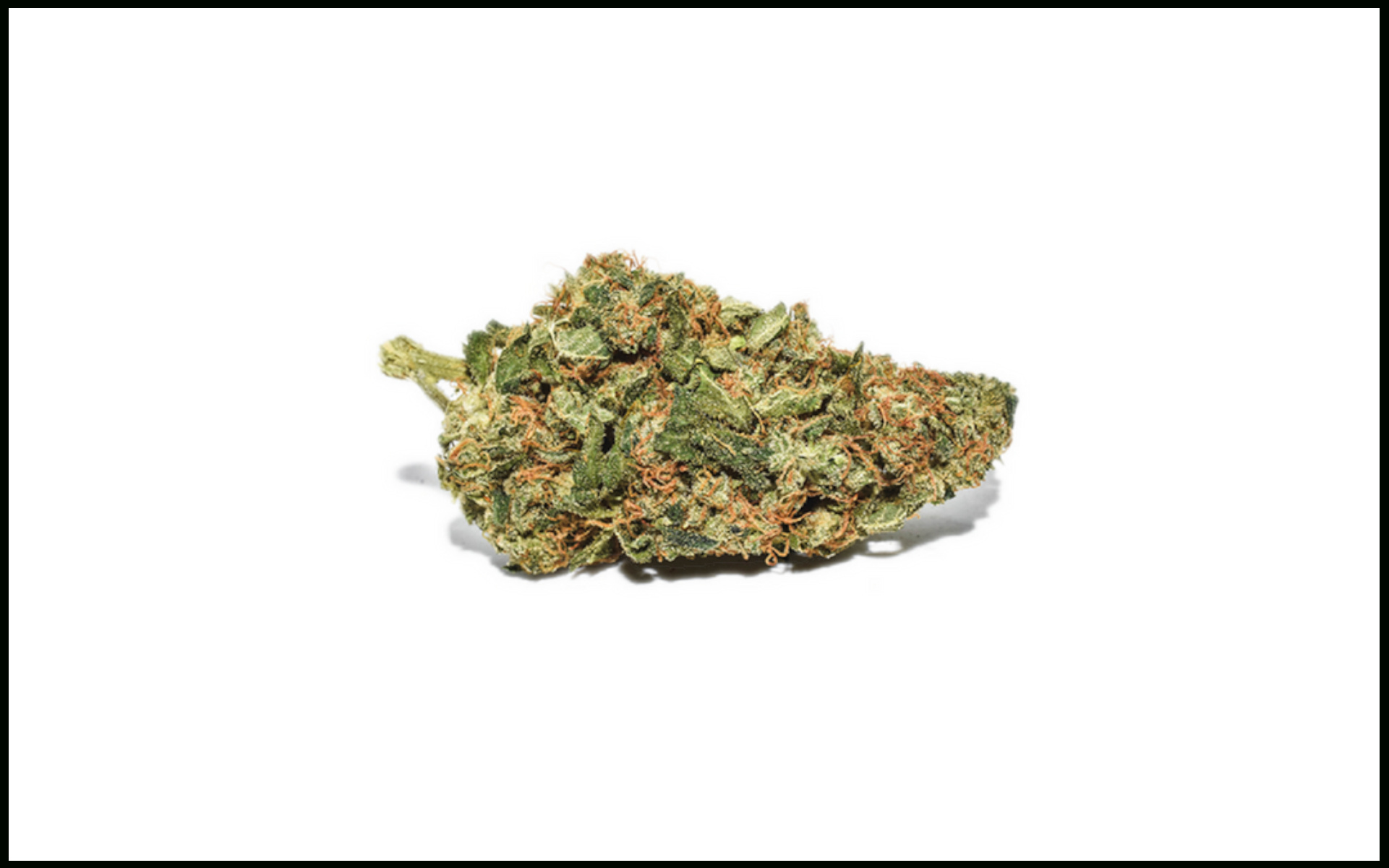 White Widow top marihuany