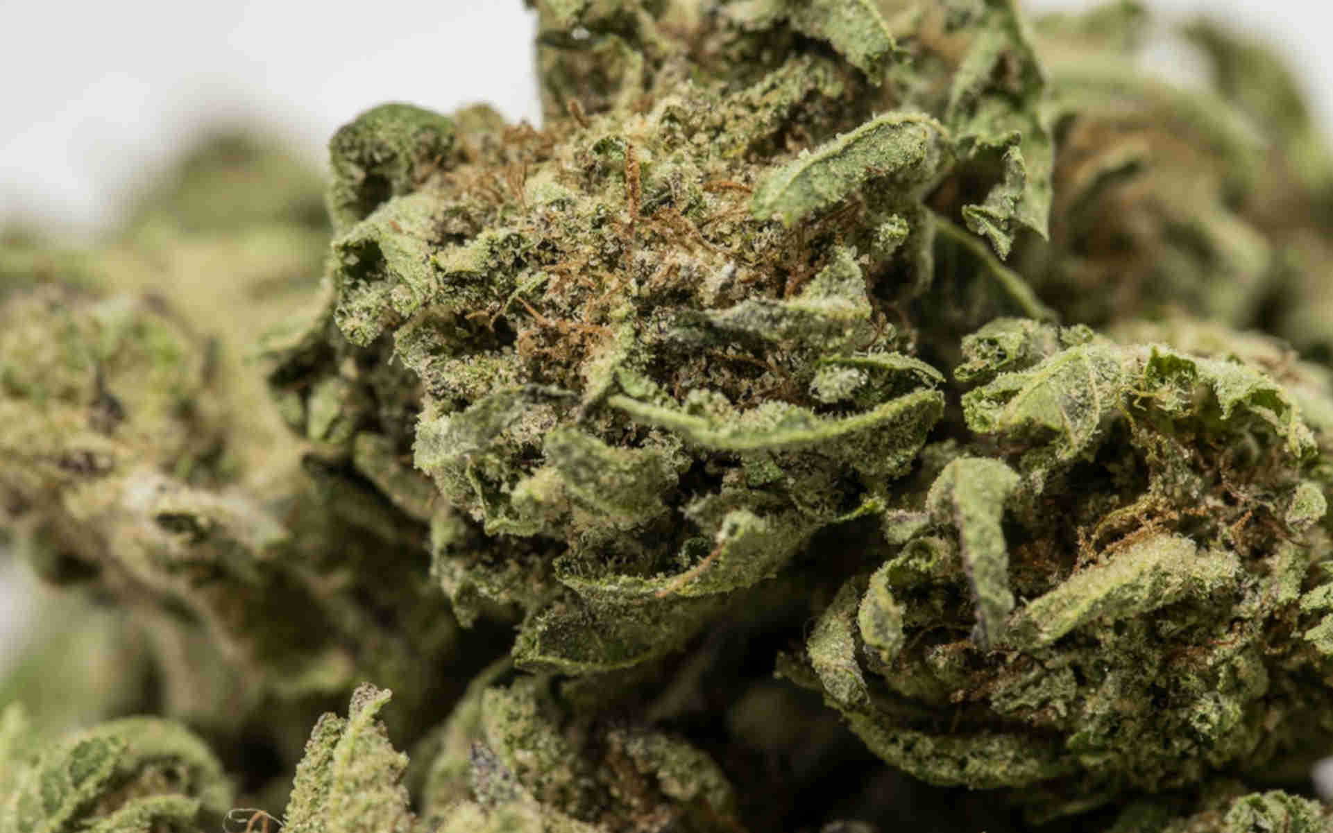 Do-Si-Dos Cookies Auto