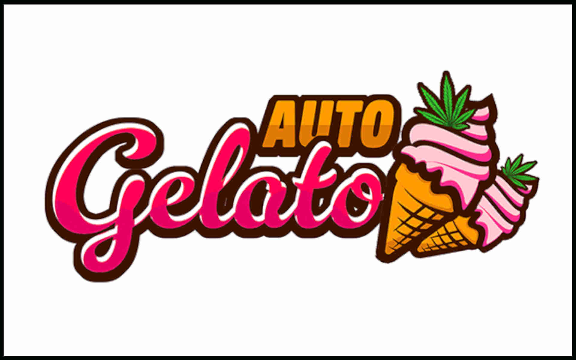 Gelato Auto Fast Buds nasiona marihuany