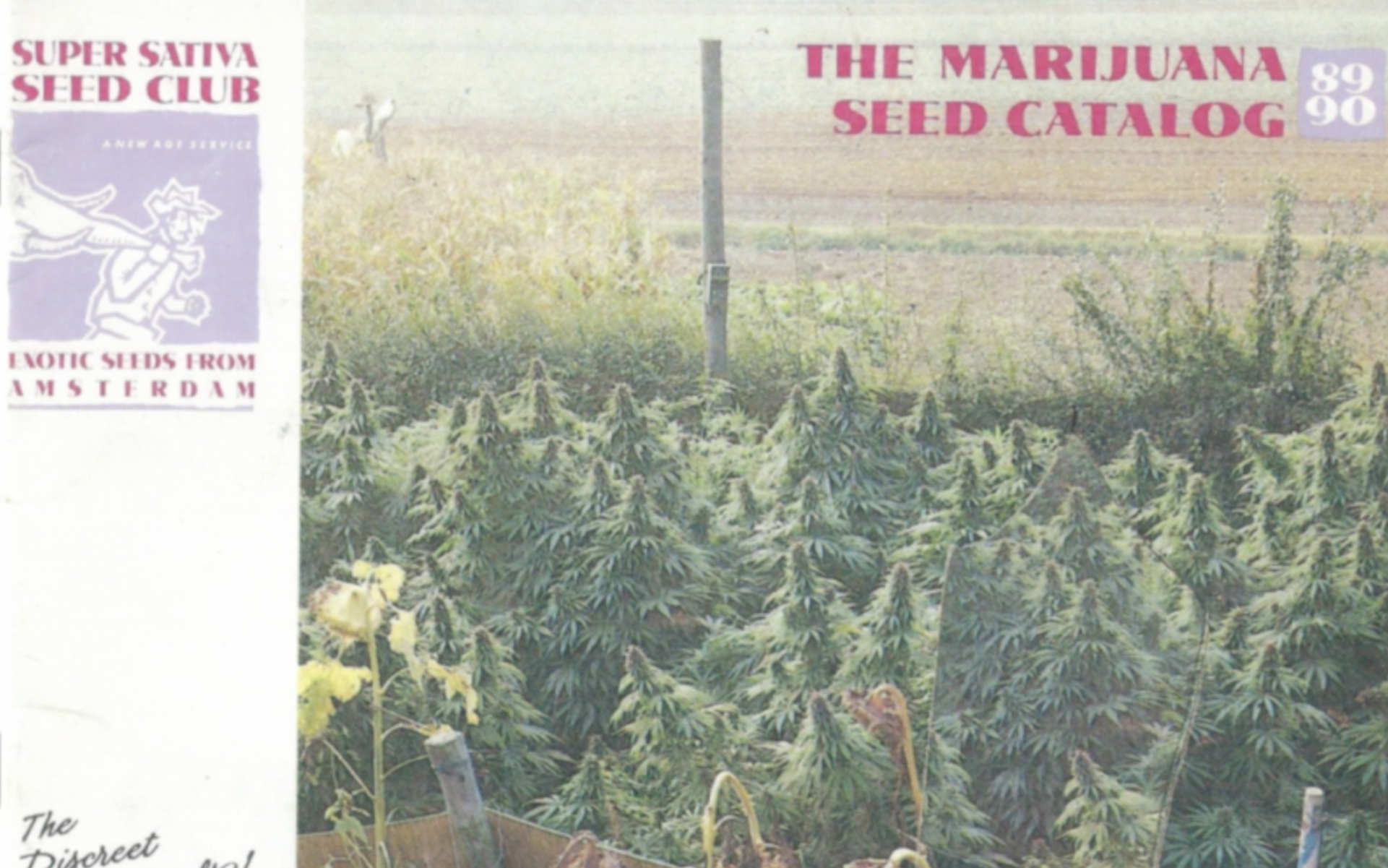 Super Sativa Seed Club katalog