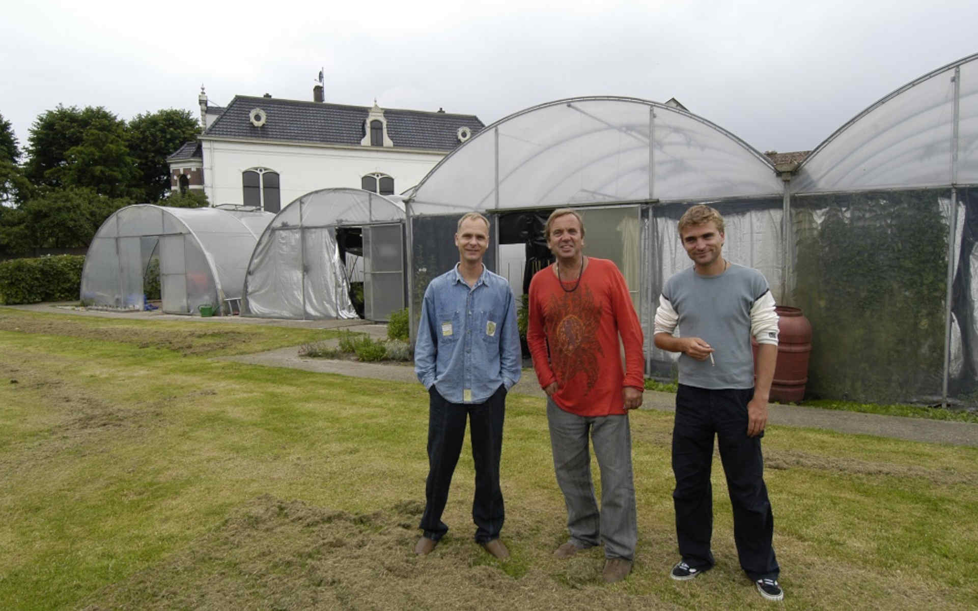 Uprawa nasion marihuany Sensi Seeds