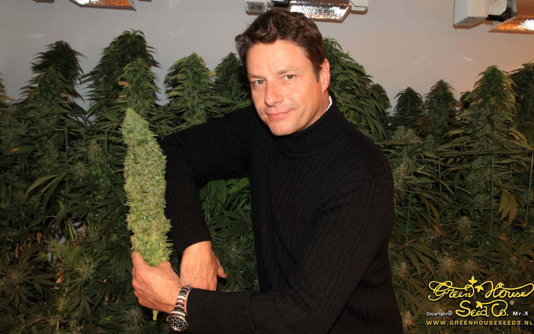 Arjan z Green Hause Seeds 