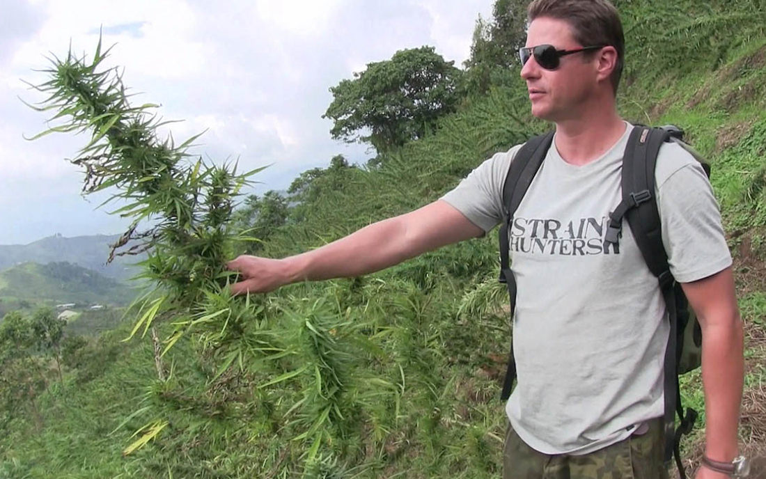 Arjan Roskam Strain Hunters