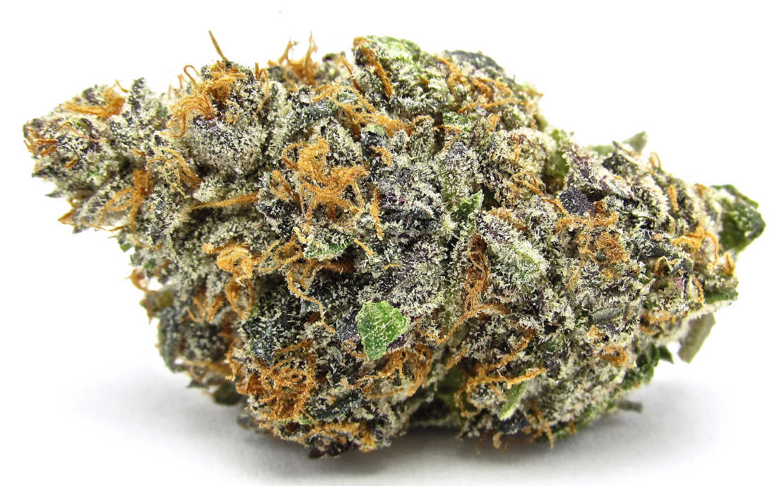 Gelato odmiana marihuany