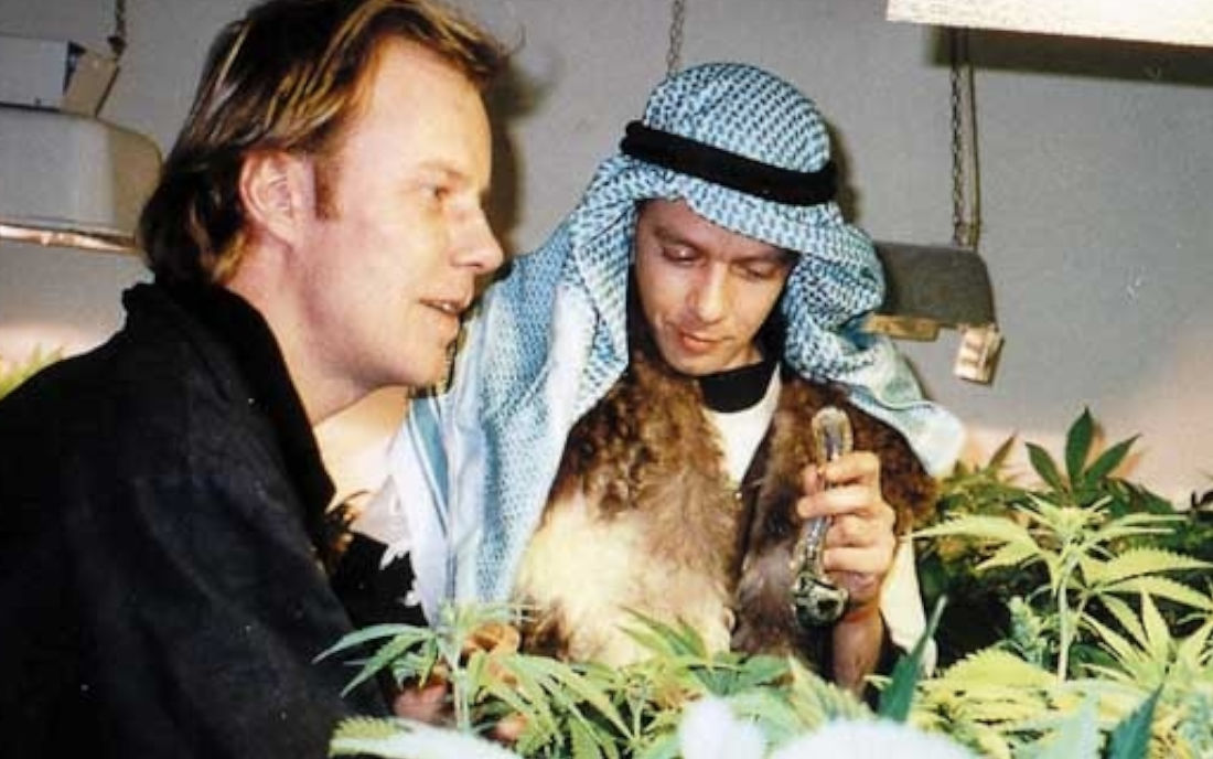 Luc - Paradise Seeds