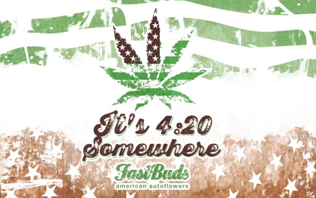 Nasiona automatów Fastbuds