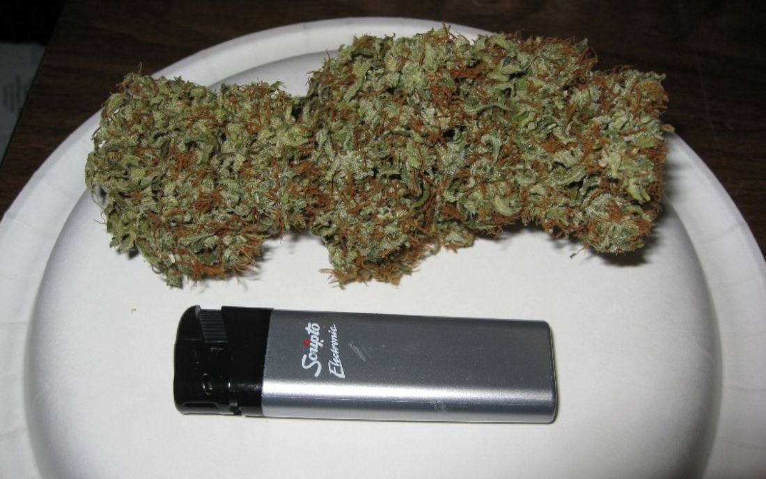 Top Strawberry Haze truskawkowe zioło