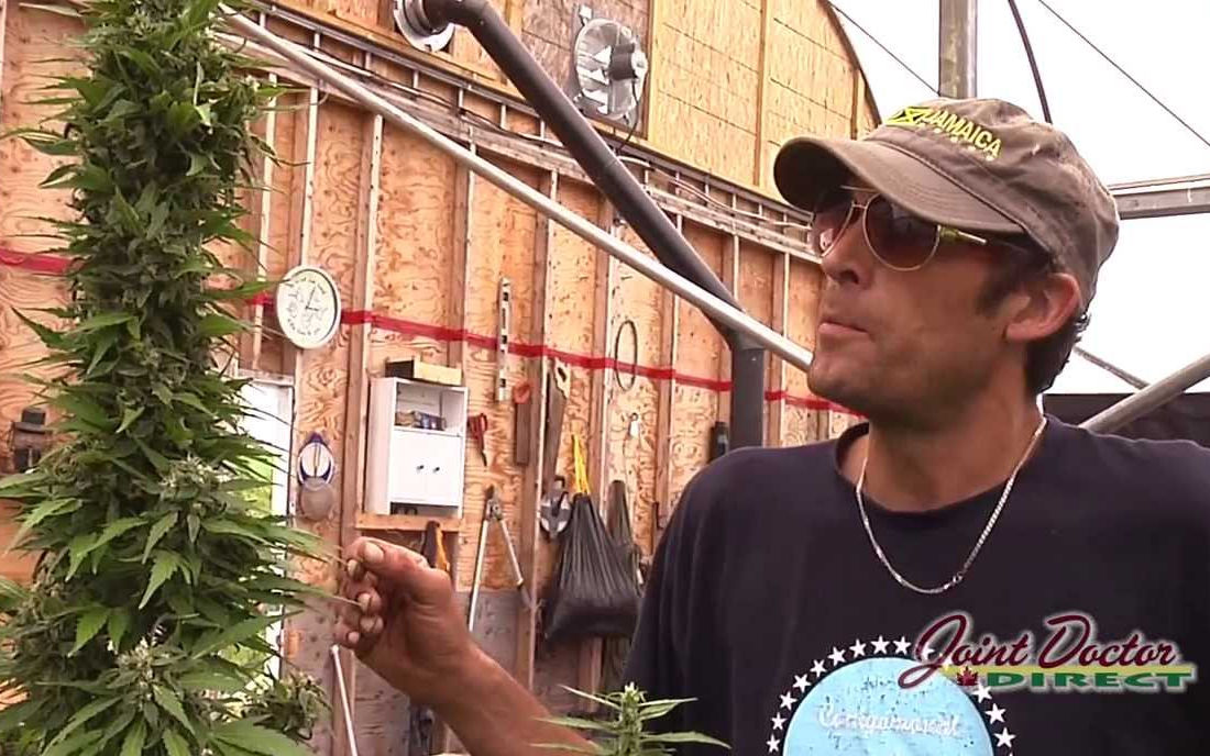 Joint Doctor breeder pierwszych automatów