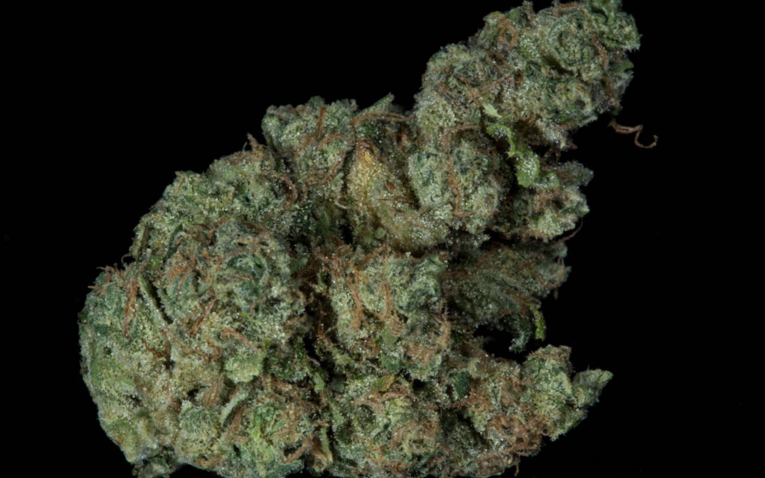 Mocna odmiana marihuany Sour Diesel