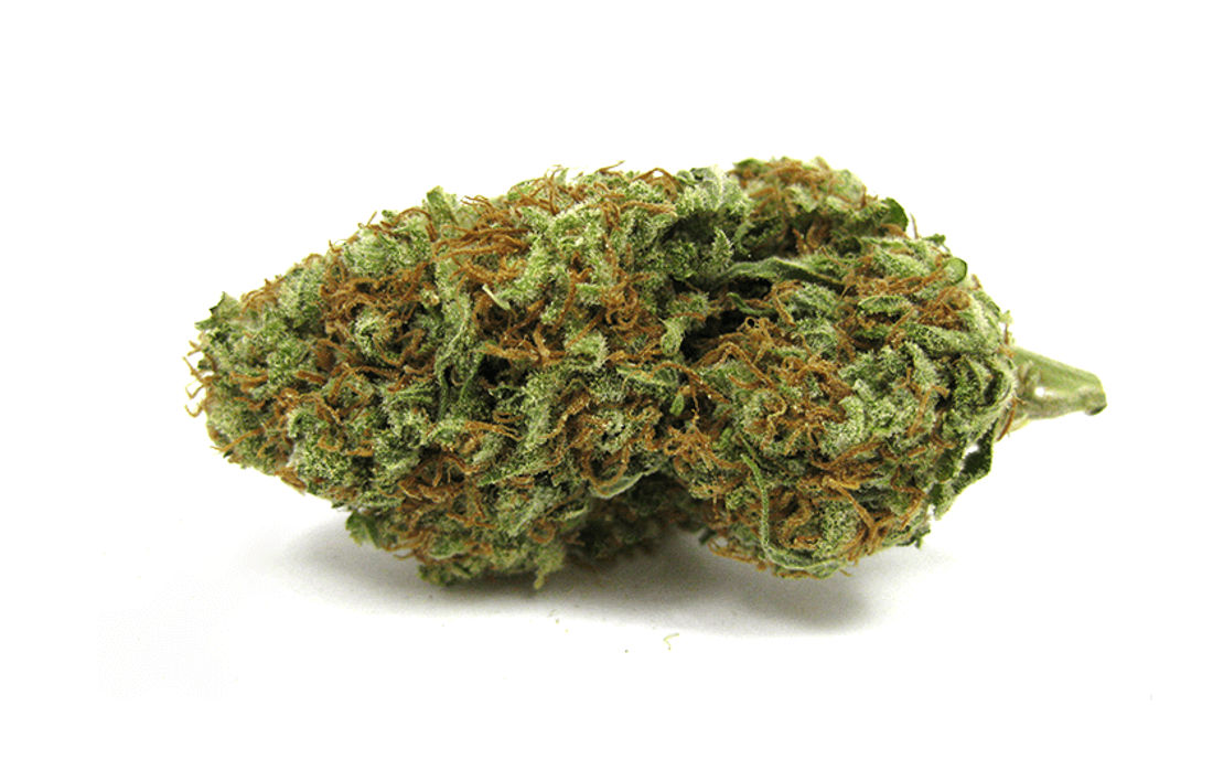 Nasiona marihuany AK47 sklep