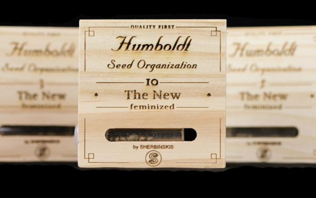 Nasiona marihuany The New Humboldt Seeds