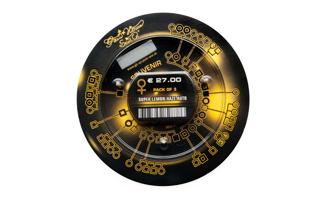 Nasiona Super Lemon Haze