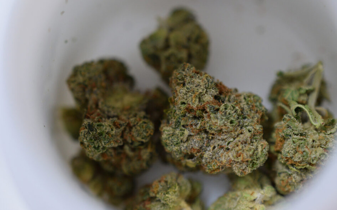 OG Kush kupiony w Kalifornii