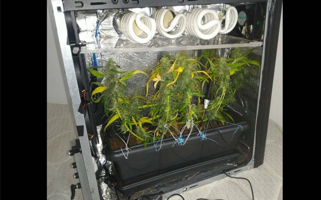 PC Growbox do uprawy konopi