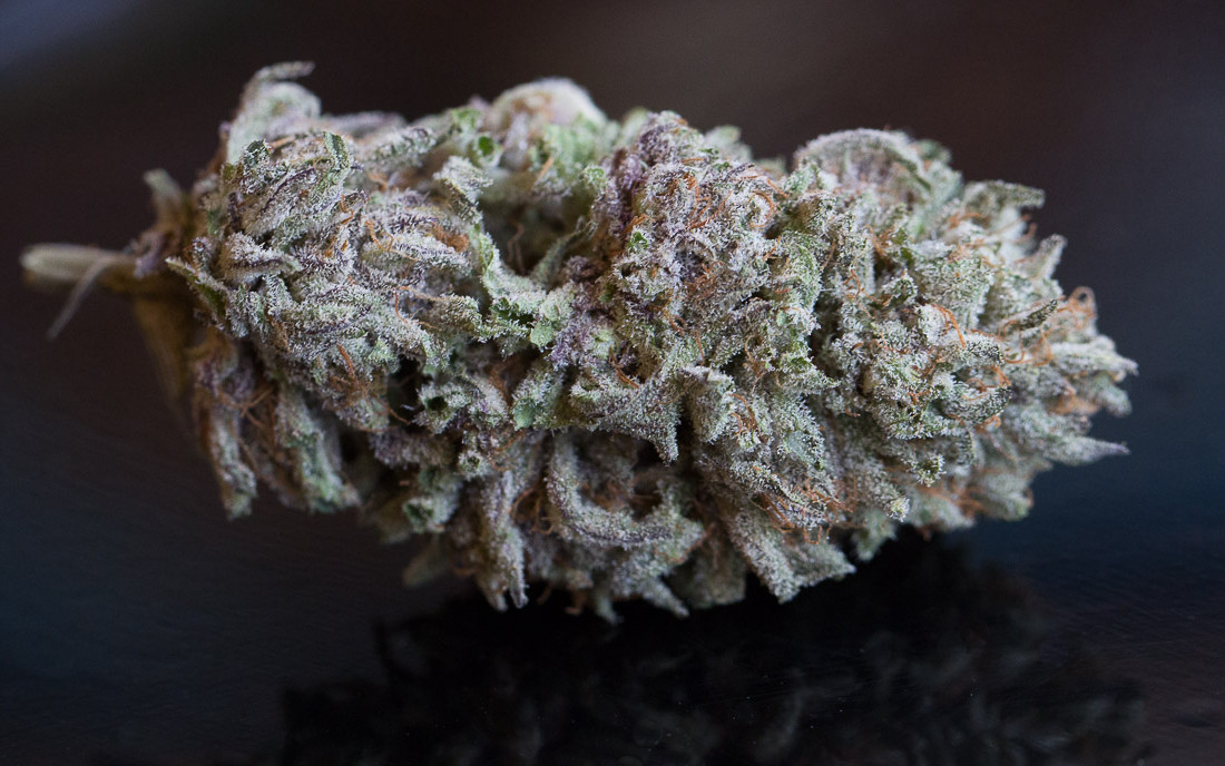 Remo Chemo odmiana marihuany Dinafem