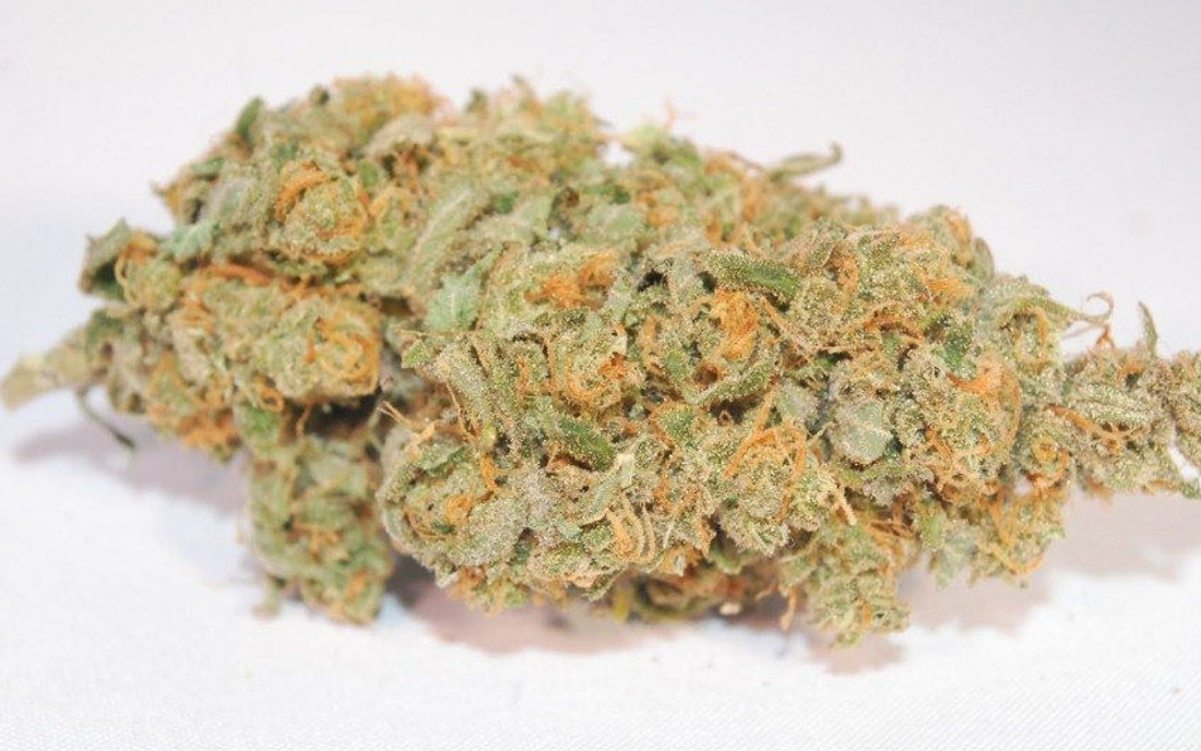 Super Lemon Haze odmiana marihuany