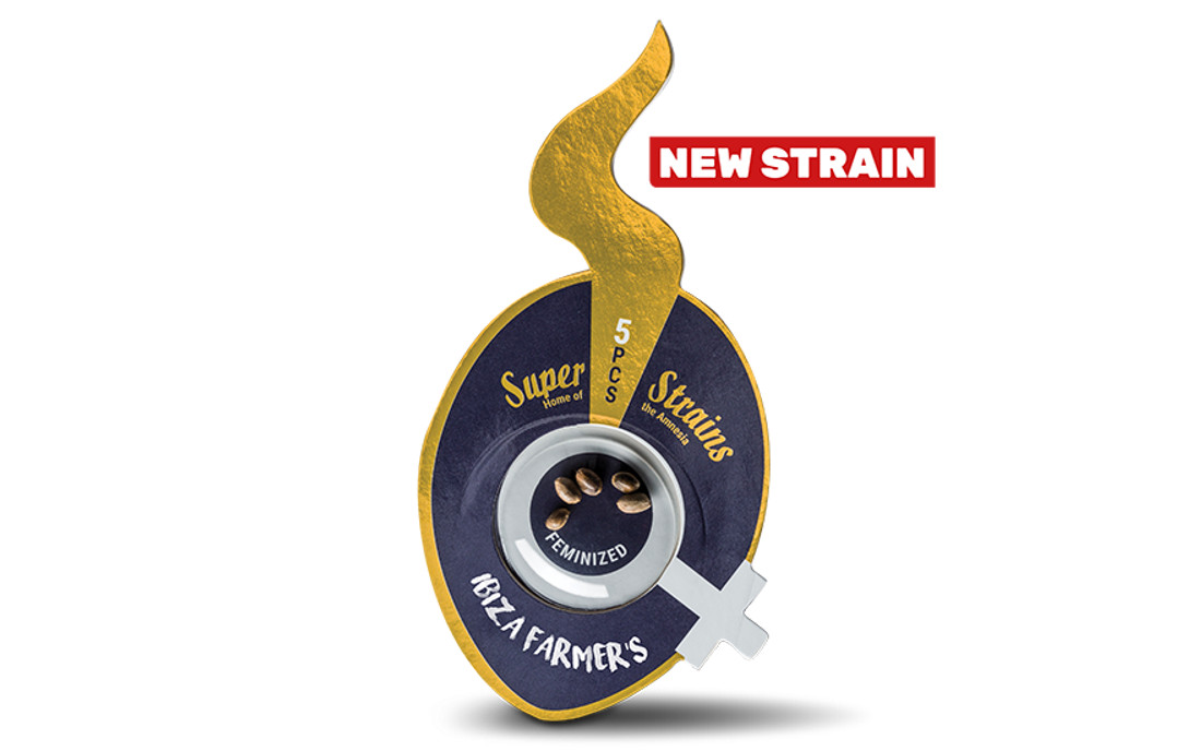 Super Strains Ibiza Farmers nowość