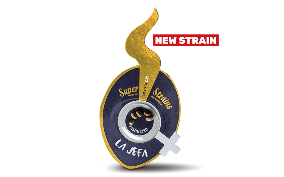 Super Strains La Jefa nasiona