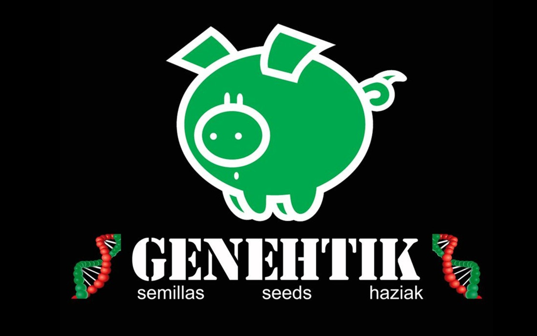 Bank nasion konopi Genehtik