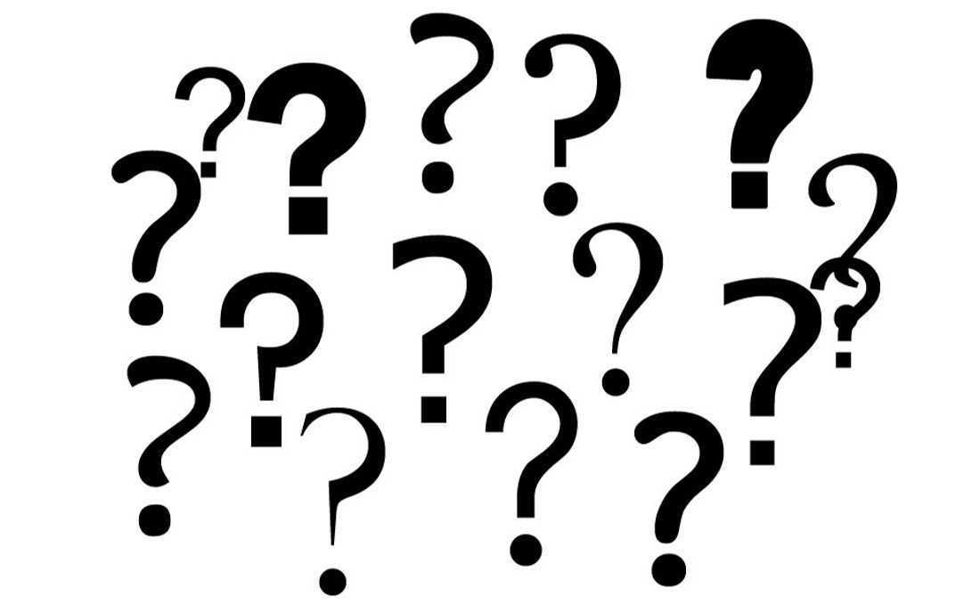 Które nasiona wybrać