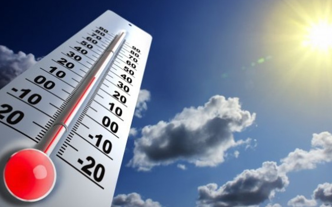 Temperatura przechowywania nasion marihuany