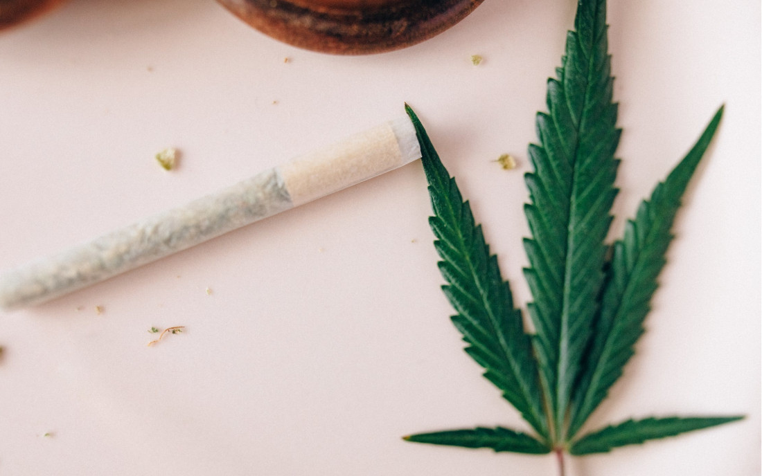 Liść marihuany z THC