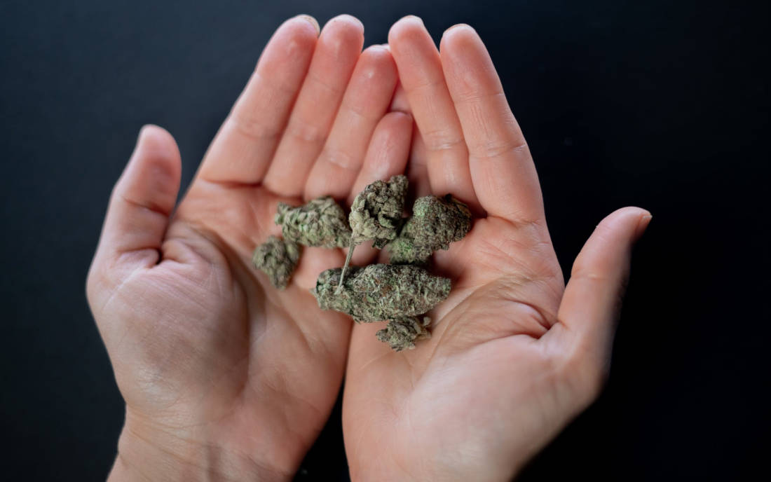 Marihuana skuteczna w leczeniu bezsenności