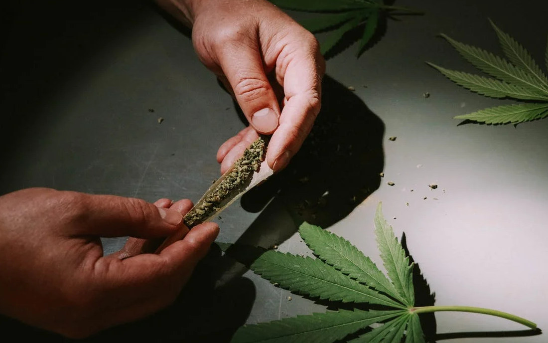 Legalizacja marihuany a branża alkoholowa