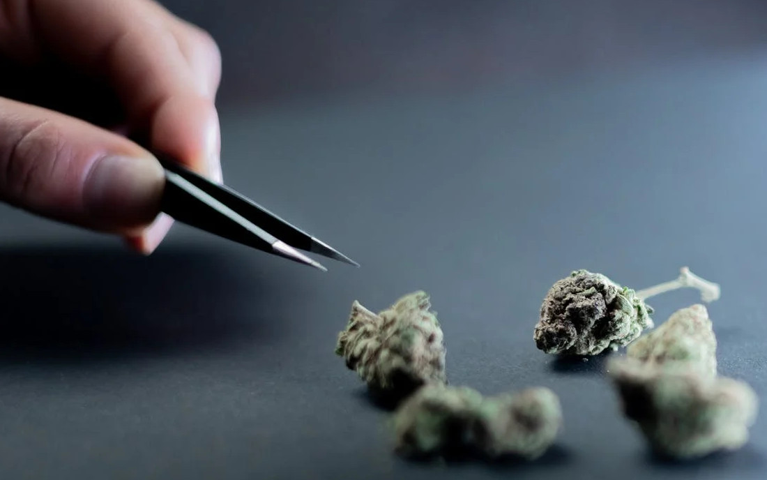 Skutki uzależnienia od marihuany