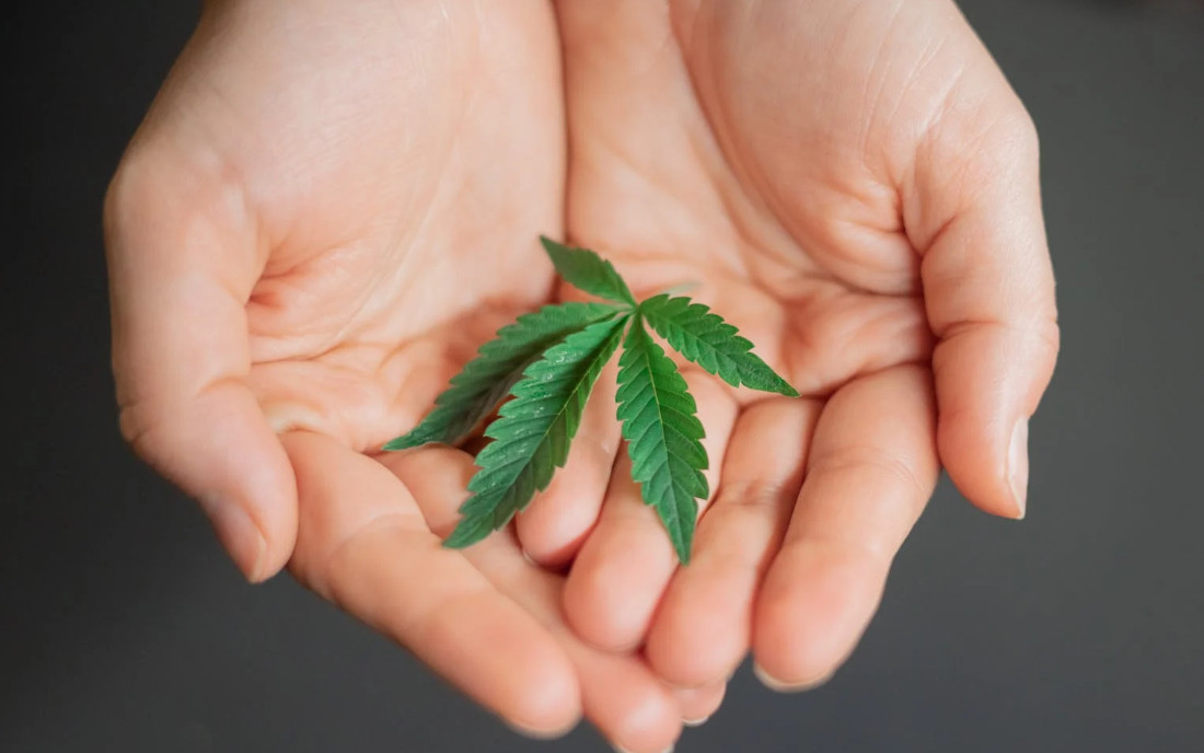 Marihuana jako narkotyk