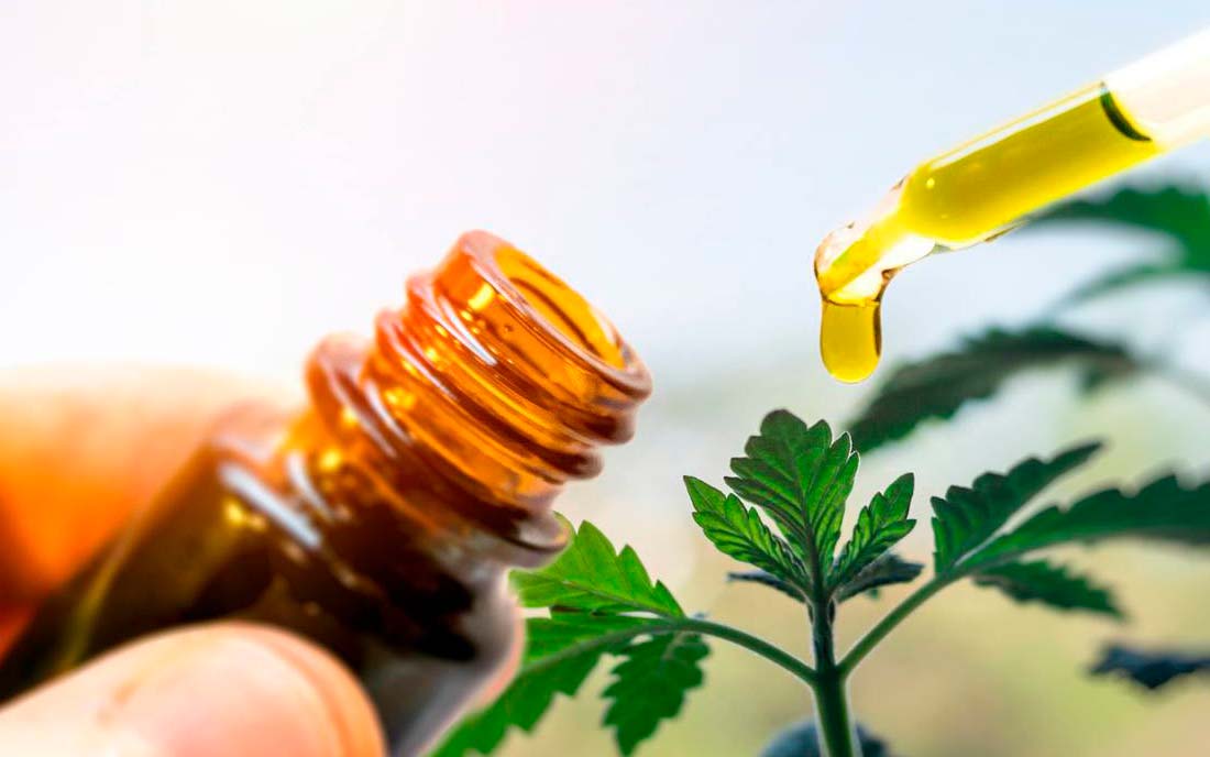 Nowości w produktach konopnych