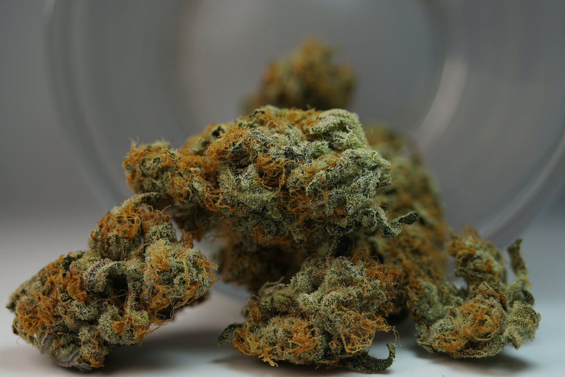 Podróżowanie z Marychą