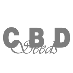 Cbd Seeds