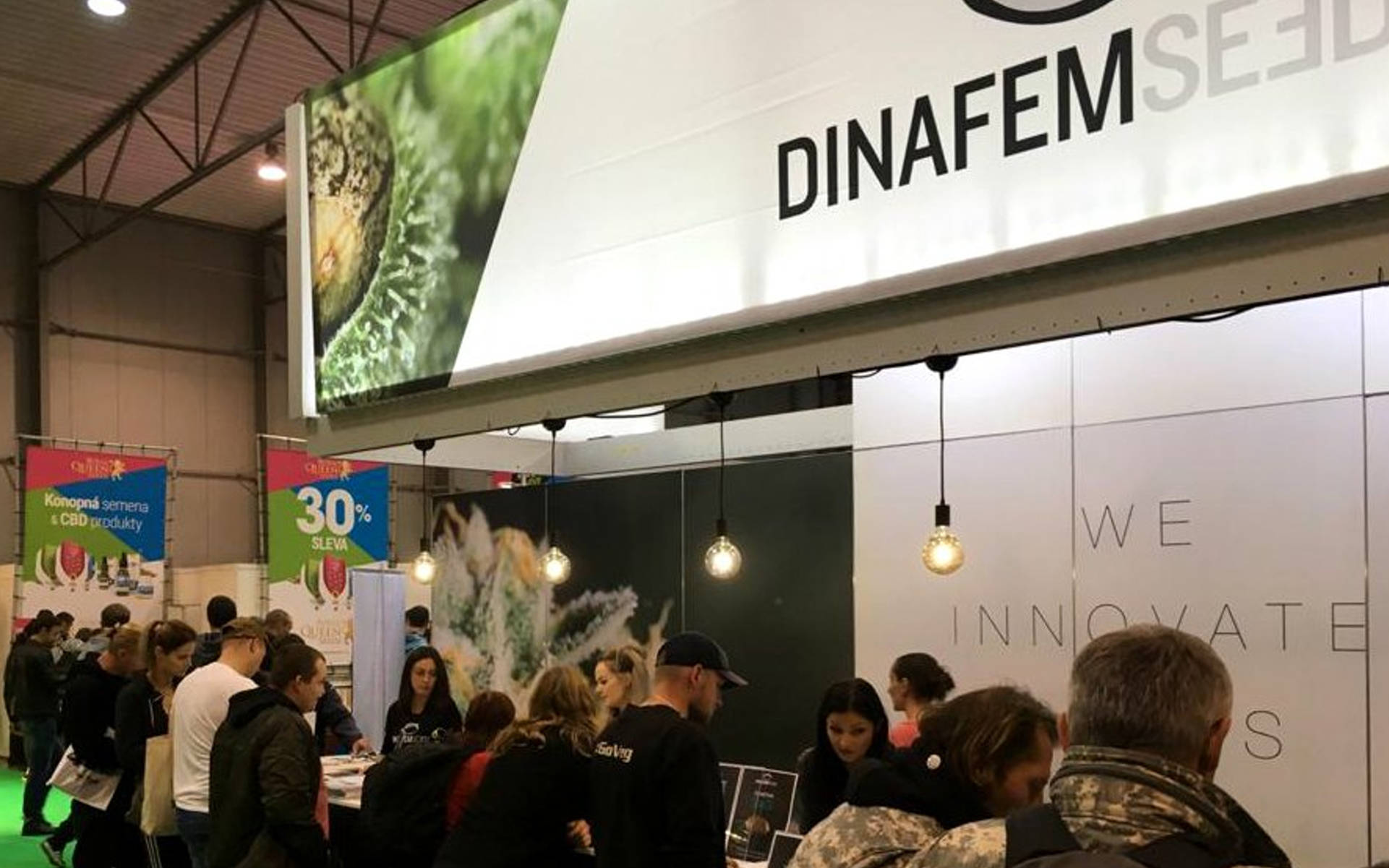 Dinafem – największy seedbank z Hiszpanii