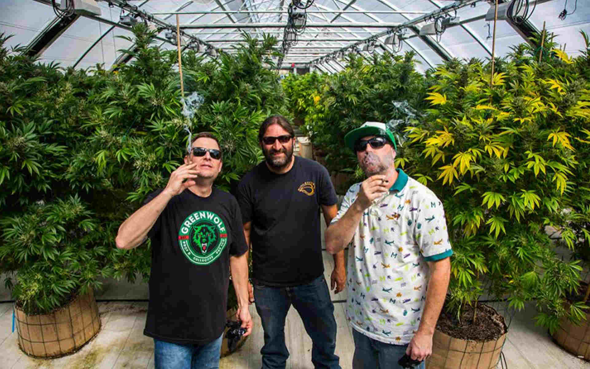 Historia marki DNA Genetics