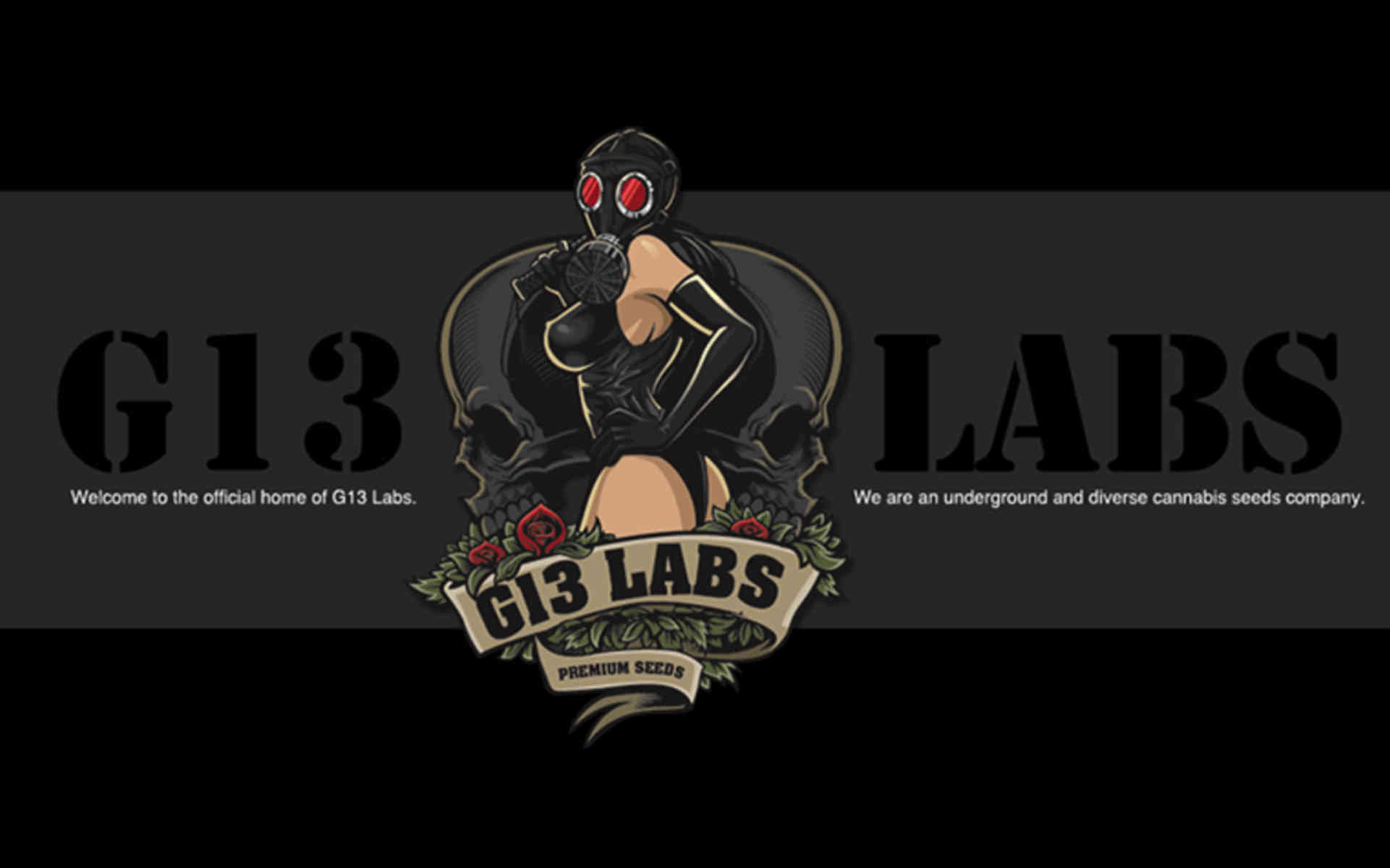 Auto Fro-Yo nowy automat od G13 Labs