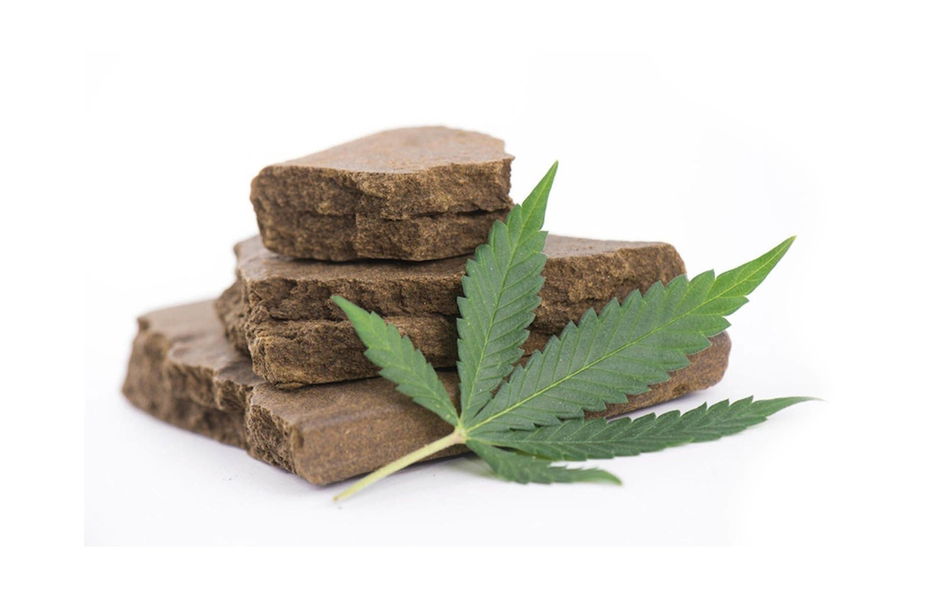 Dlaczego marokański hasz jest uważany za najlepszy na świecie?