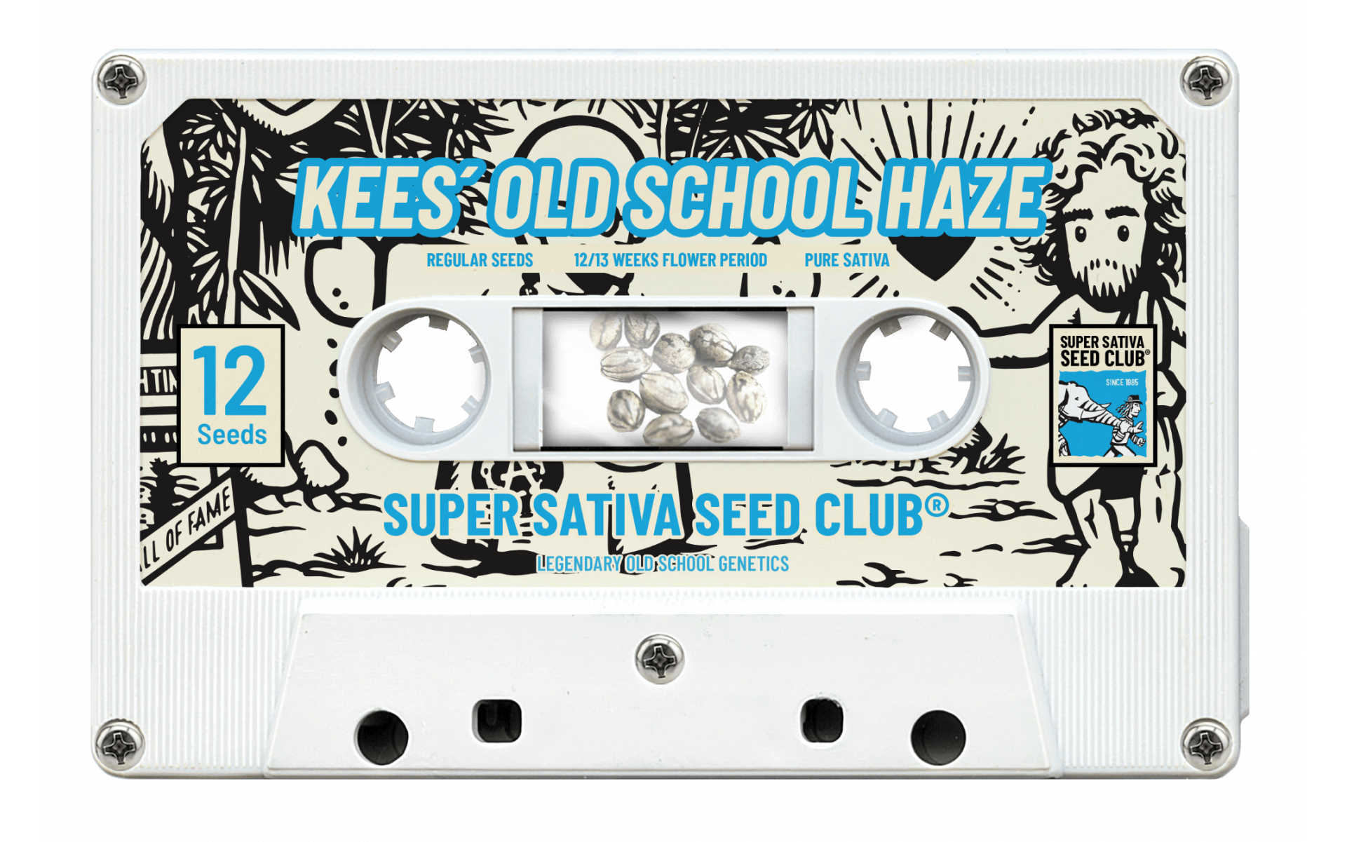 TOP 5 odmian marihuany Haze