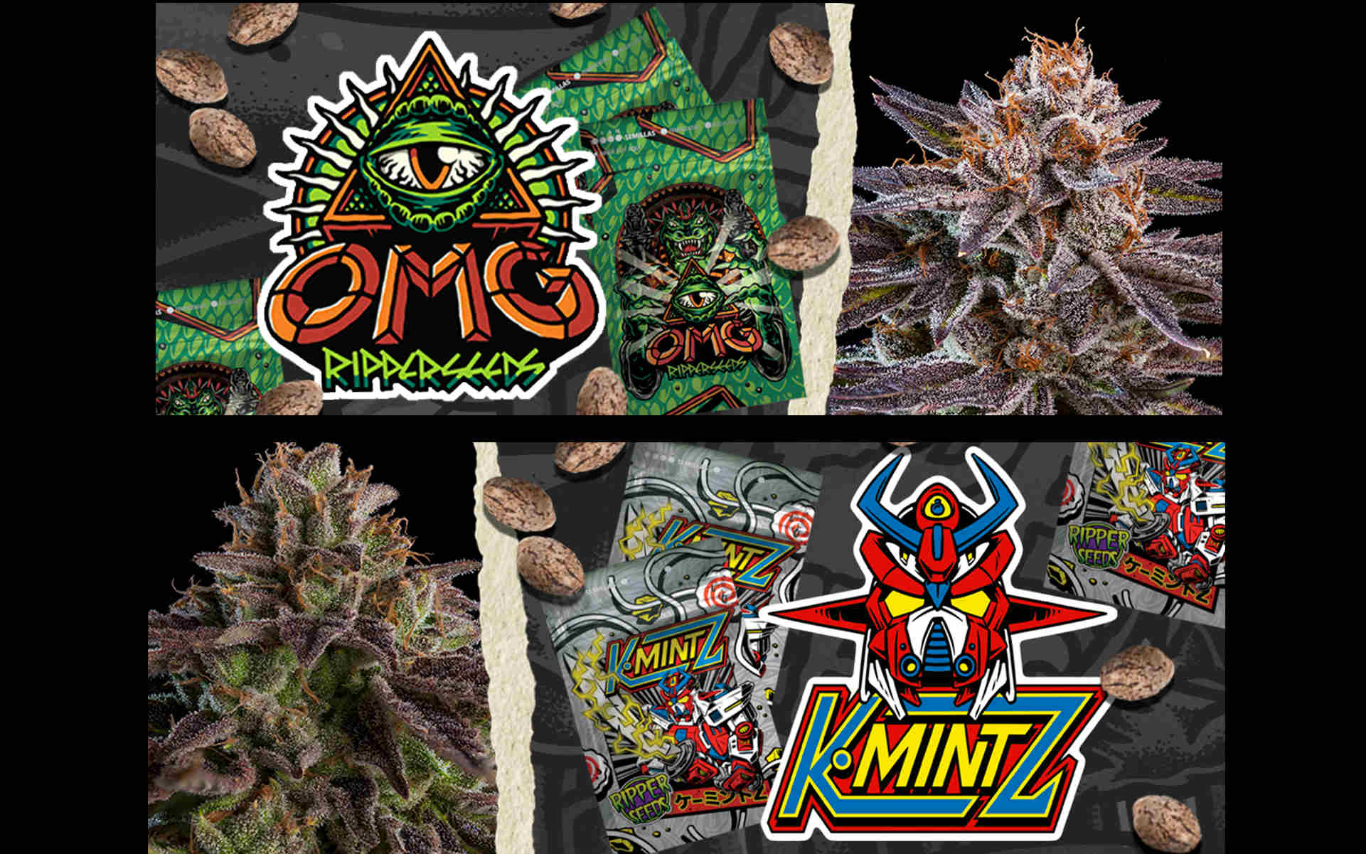 OMG i KmintZ – nowe odmiany od Ripper Seeds
