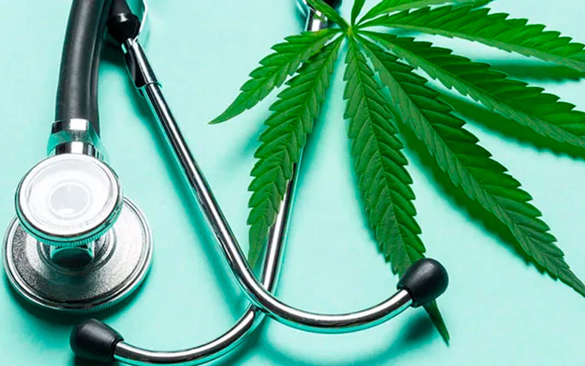 Najpopularniejsze odmiany nasion marihuany do celów medycznych