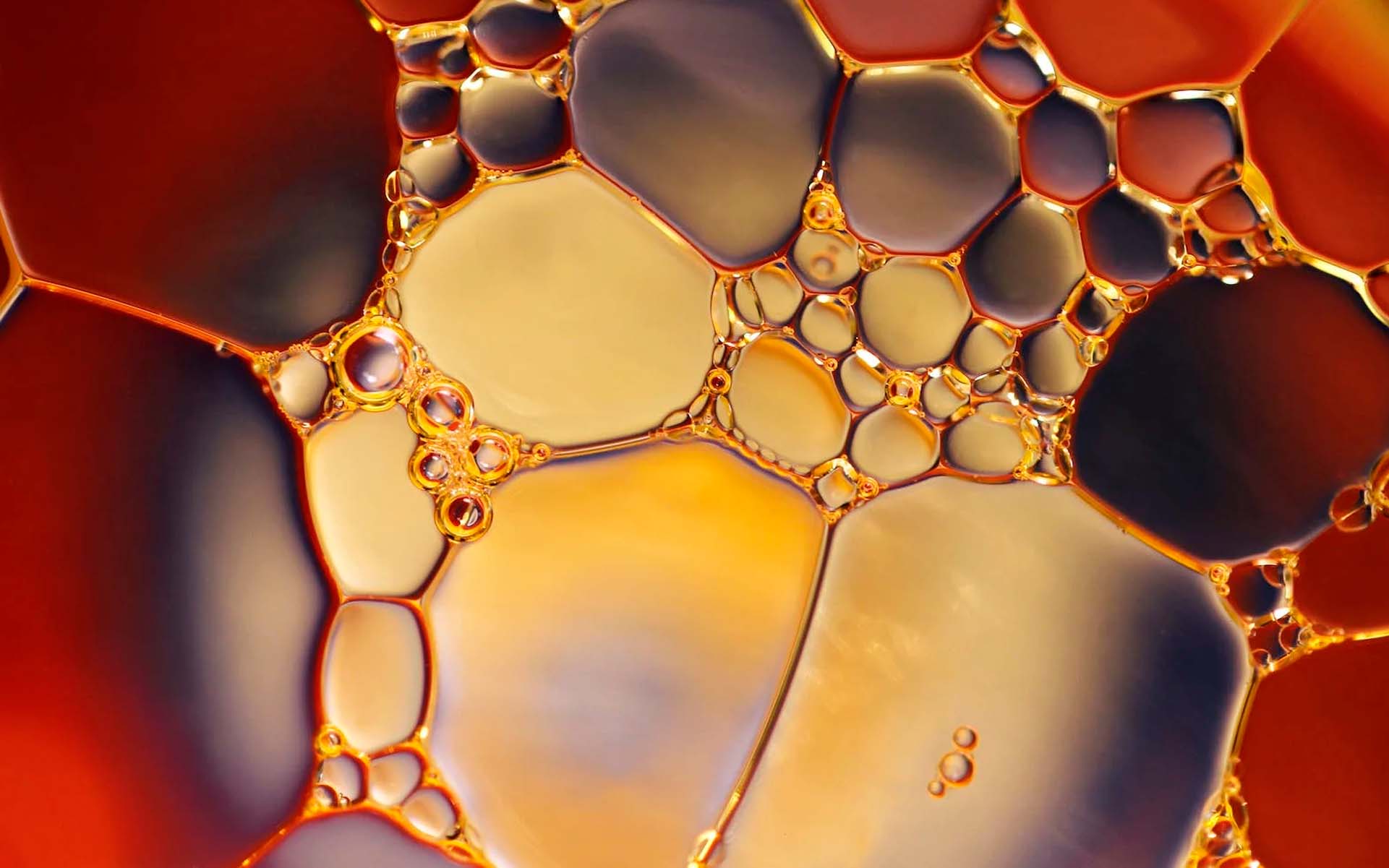 Najlepsze metody produkcji oleju z nasion marihuany