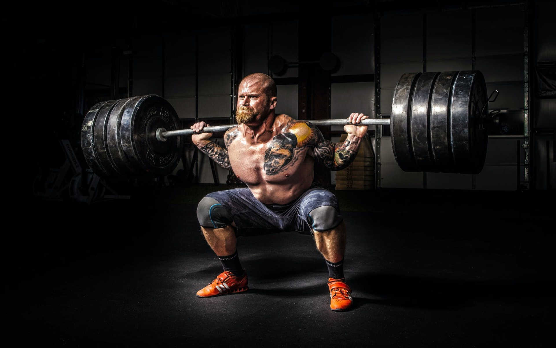 TOP 5 najmocniejszych odmian na outdoor