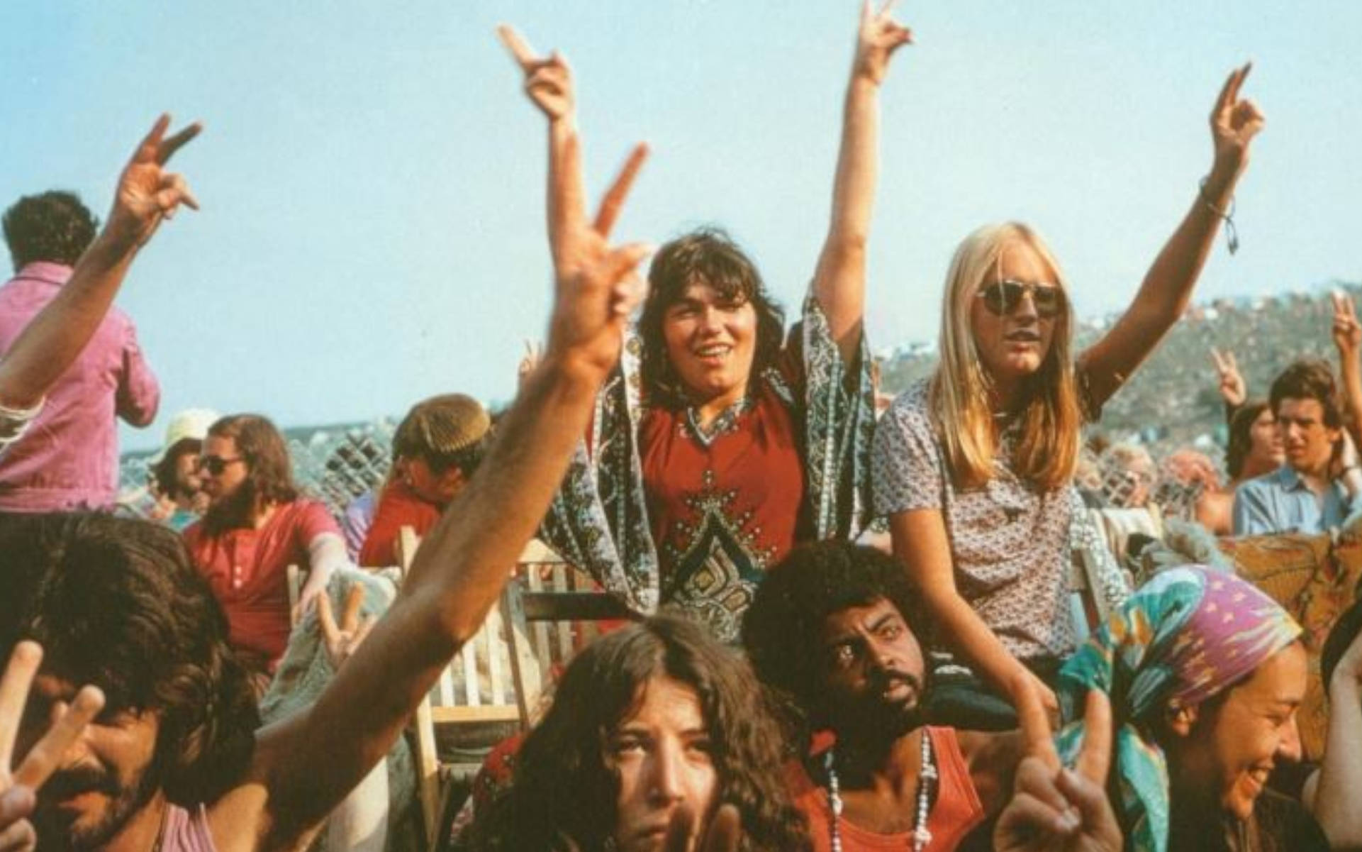 Nirvana – hipisowski seedbank