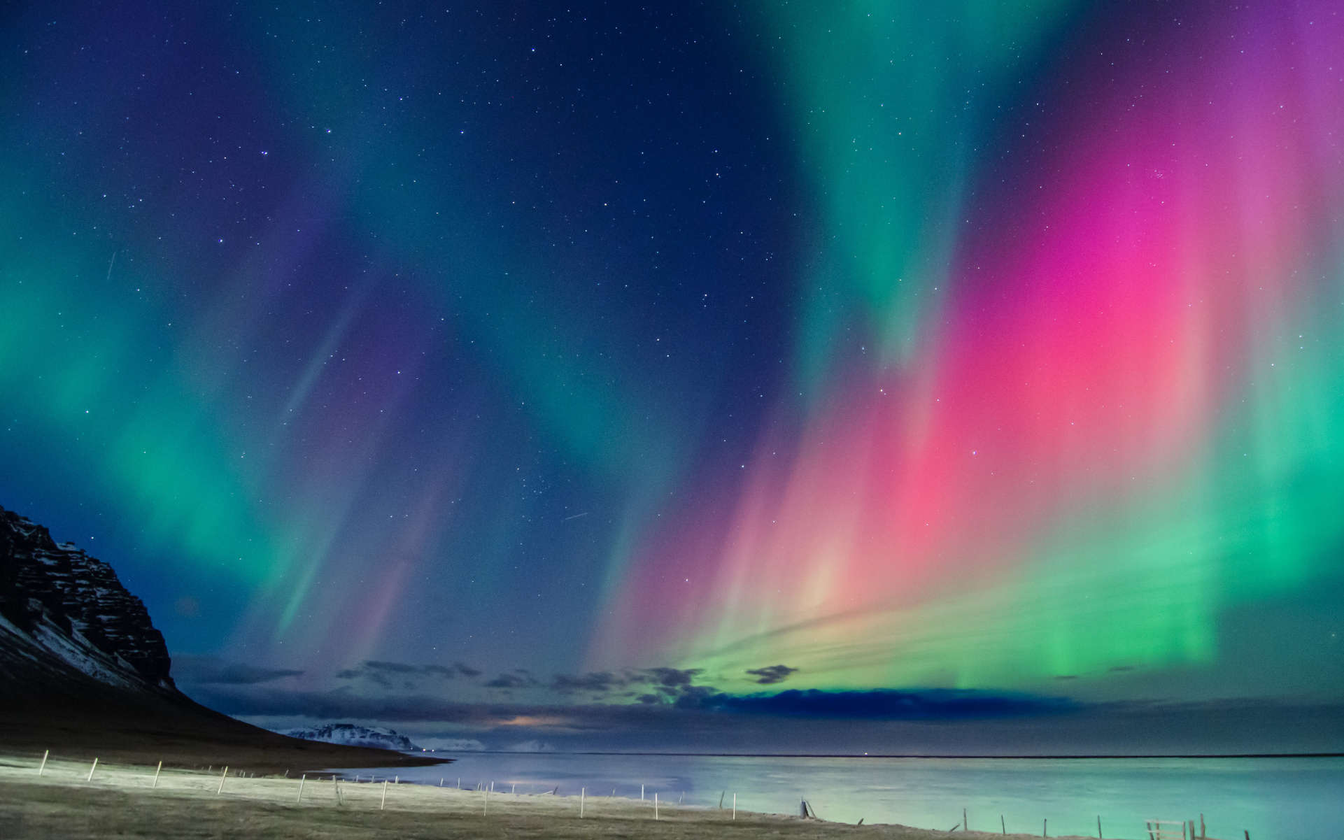 Northern Lights - legendarna odmiana marihuany