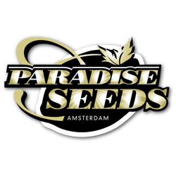 Paradise Seeds