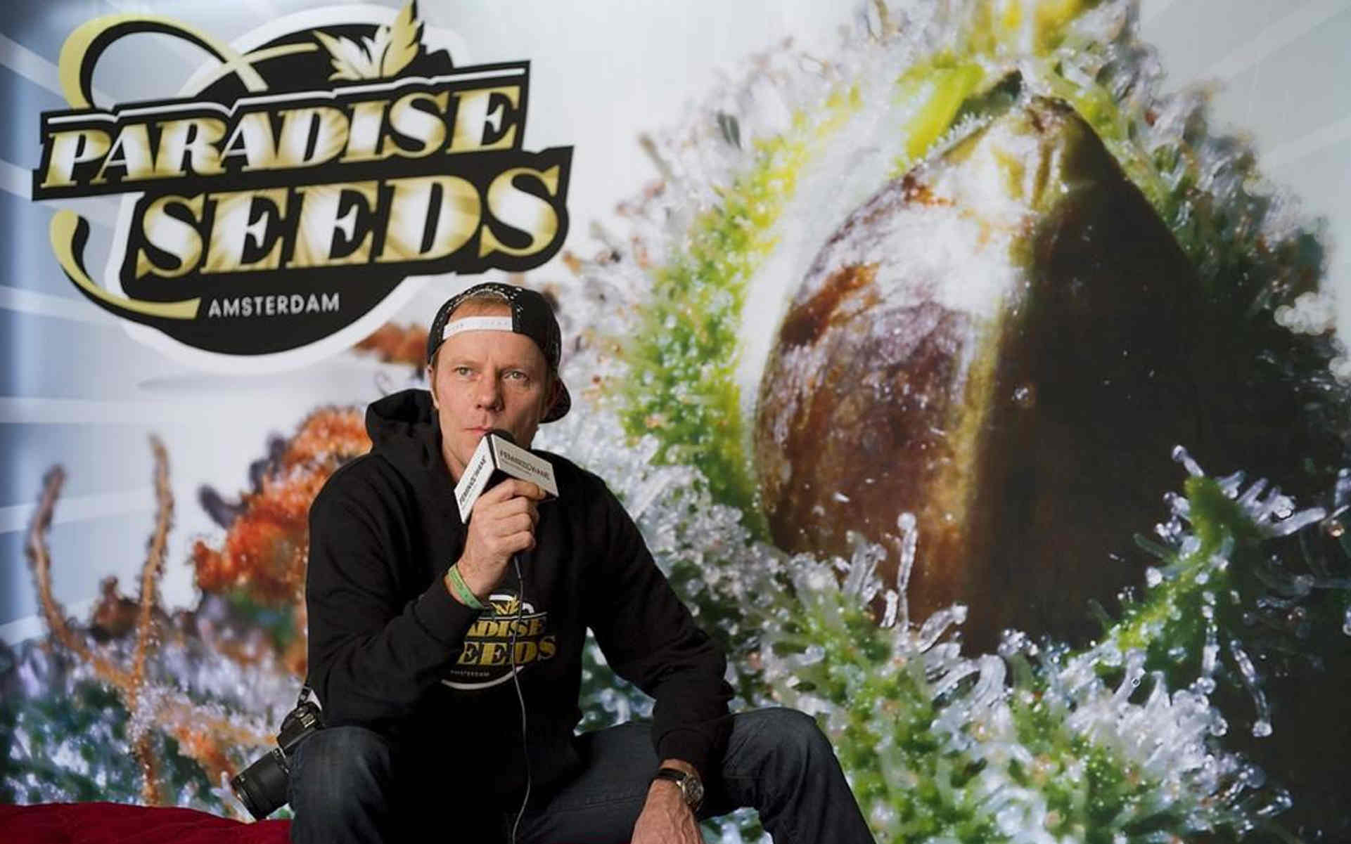 Paradise Seeds - holenderski bank nasion z tradycjami