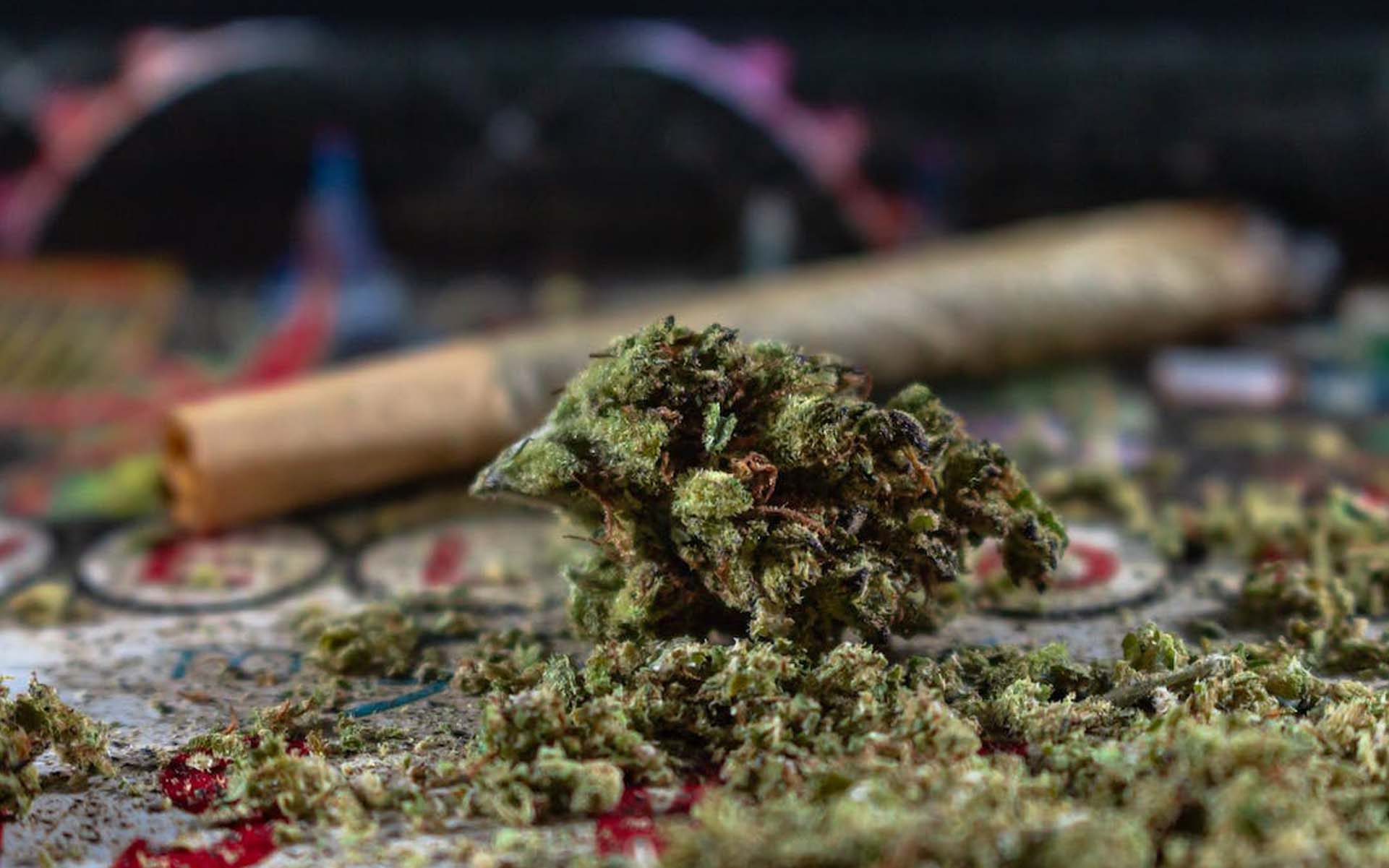 Różnice między HHC a THC: W jaki sposób się różnią?