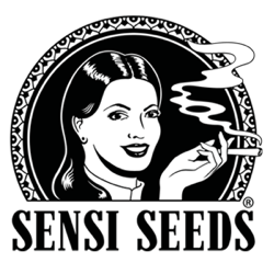 Sensi Seeds